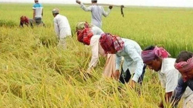 ২ কোটি ২৭ লাখ ৫৩ হাজার ৩২১টি কৃষক পরিবারকে ‘কৃষক স্মার্ট কার্ড’ দেবে কৃষি মন্ত্রণালয়