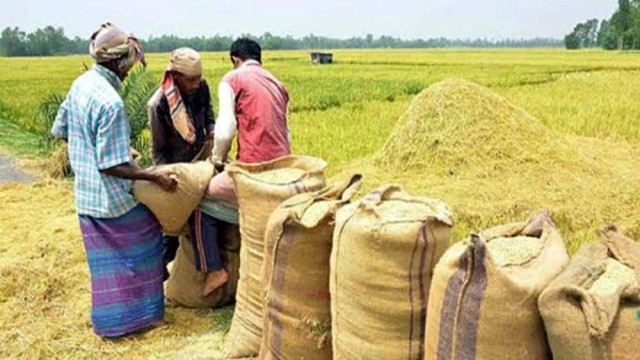 আমন ও বোরোতে চাল উৎপাদনের লক্ষ্যমাত্রা নির্ধারণ