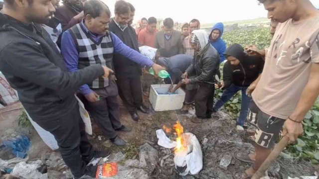 বানারীপাড়ায় মোবাইল কোর্ট অভিযানে ক্ষতিকর জেলিযুক্ত চিংড়ি ও জাটকা জব্দ
