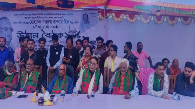 যারা বলে খেলা হবে আমি বলি উন্নয়ন হবে : এমপি হিরো