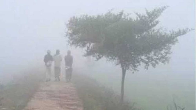 ঘন কুয়াশার কারণে বিমানসহ পরিবহন চলাচল ব্যাহত হতে পারে
