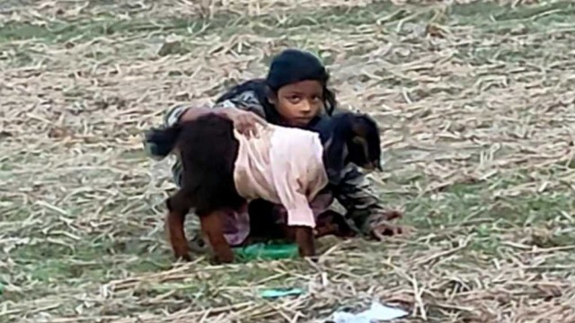 নওগাঁয় কনকনে শীতে কাঁপছে মানুষ সহ পশু ও পাখি, ঘন কুয়াশায় ঢাকা পথঘাট