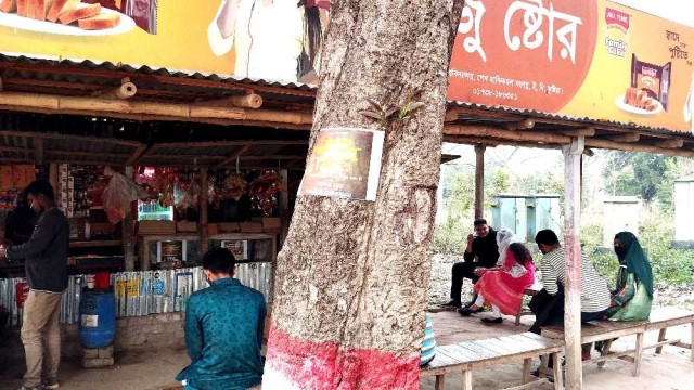 ভালোবাসা দিবসে প্রিয়জন সাথে থাকলেই ইবিতে মিলছে ফ্রি চা