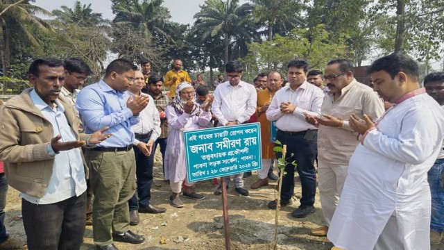 ঈশ্বরদীতে রাস্তার পাশে জায়গা অবৈধ দখলমুক্ত করে গাছের চারা রোপন