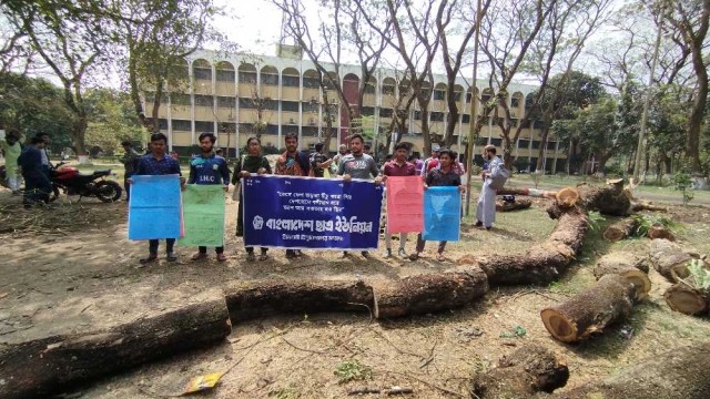 ইবিতে দুই দশক পুরোনো বৃক্ষ নিধনের প্রতিবাদে মানববন্ধন