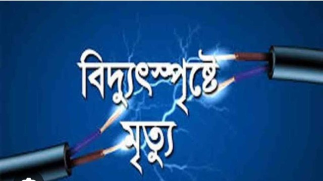 ফাইল ছবি