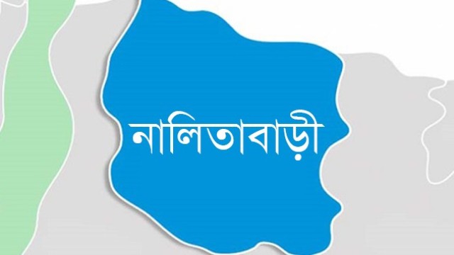 সংগৃহীত