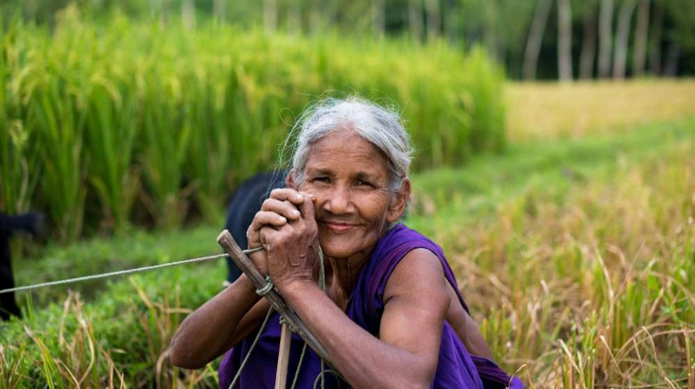 প্রতীকী ছবি