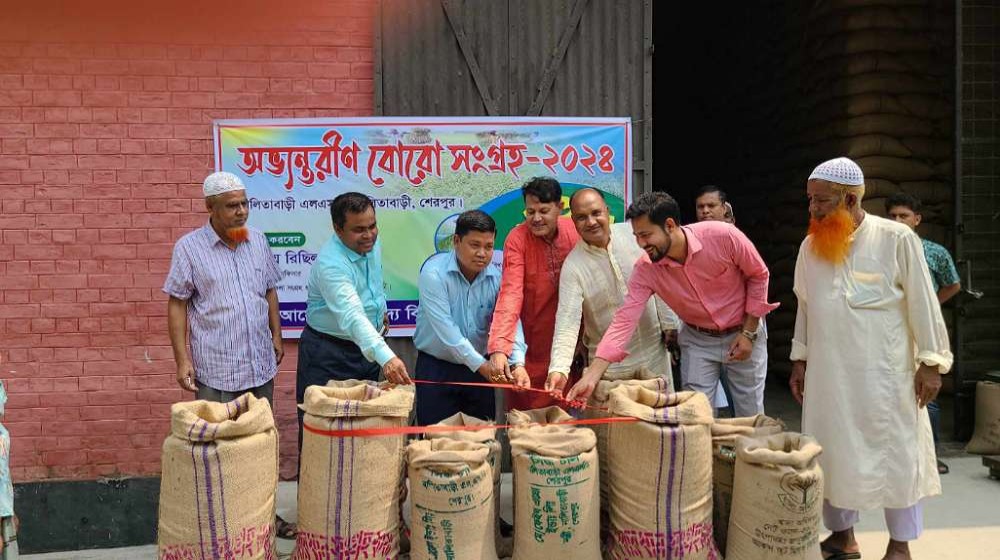 নালিতাড়ীতে আভ্যন্তরীণ ধান-চাল সংগ্রহ উদ্বোধন