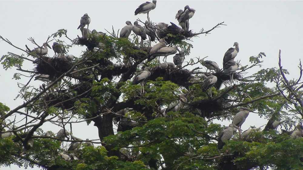 সংগৃহীত