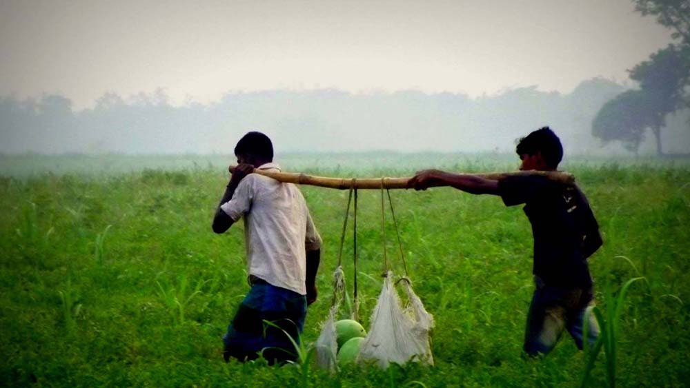 ফাইল ছবি