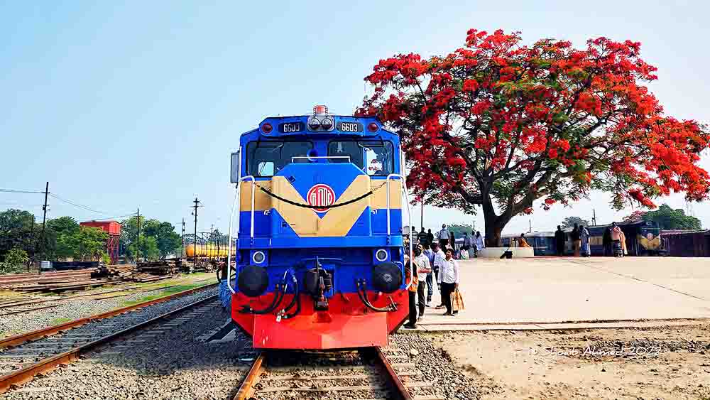 ছবিঃ সংগৃহীত