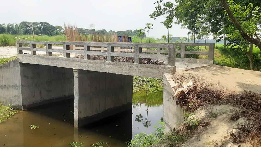 ছবিঃ সংগৃহীত