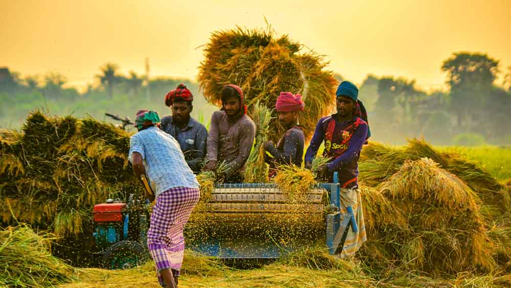 ছবিঃ সংগৃহীত