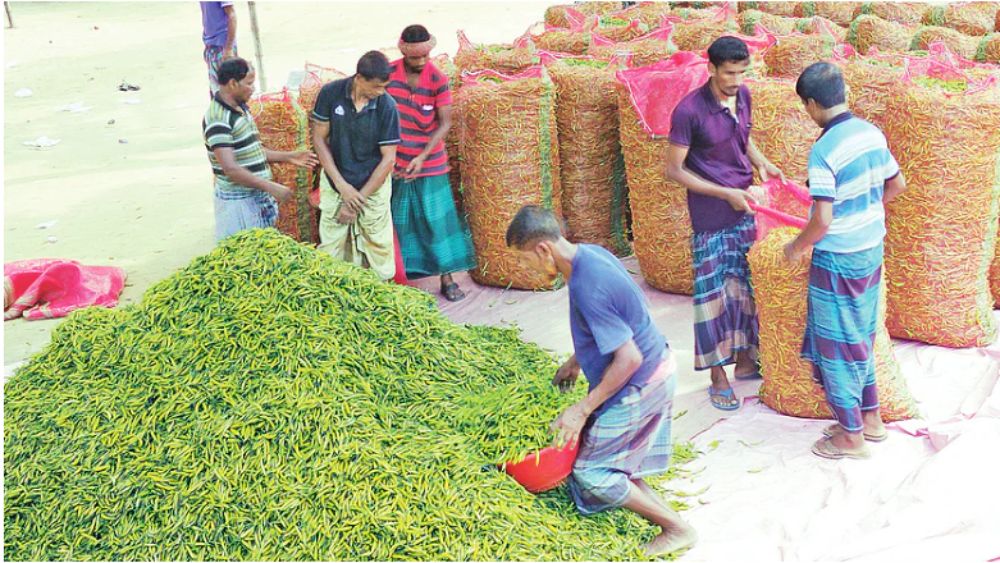 সংগৃহীত