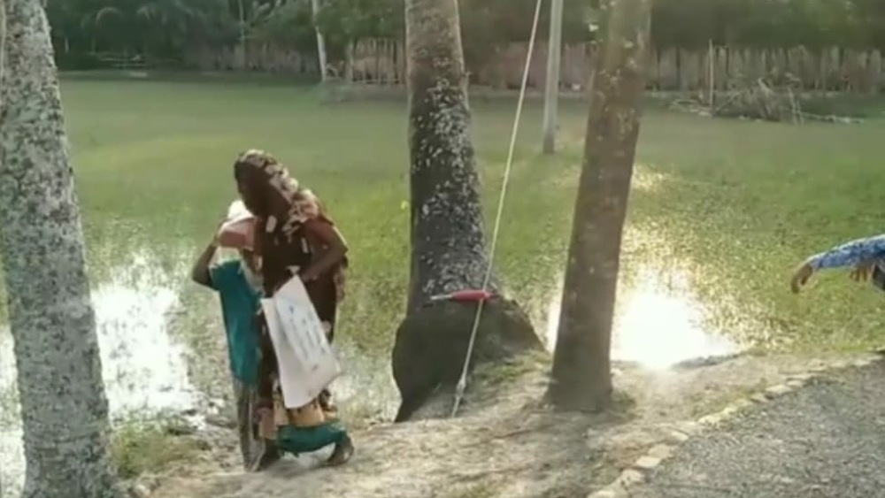 সংগৃহীত