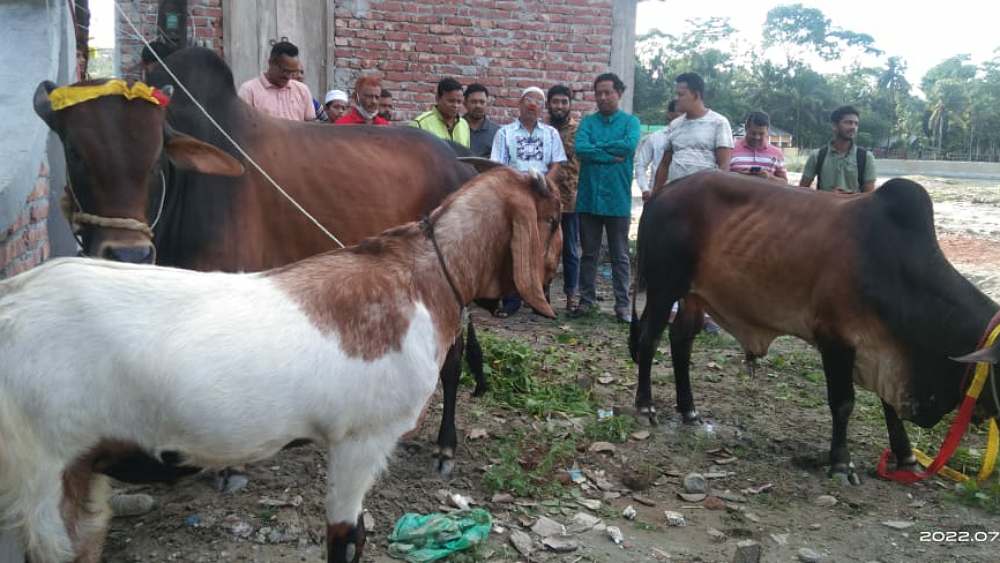 সংগৃহীত