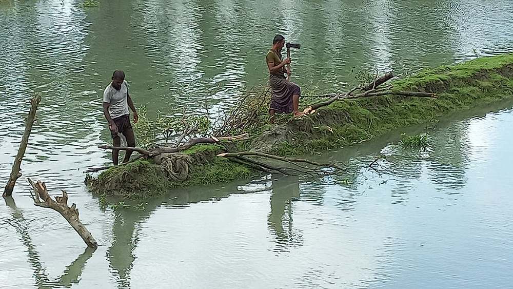 সংগৃহীত