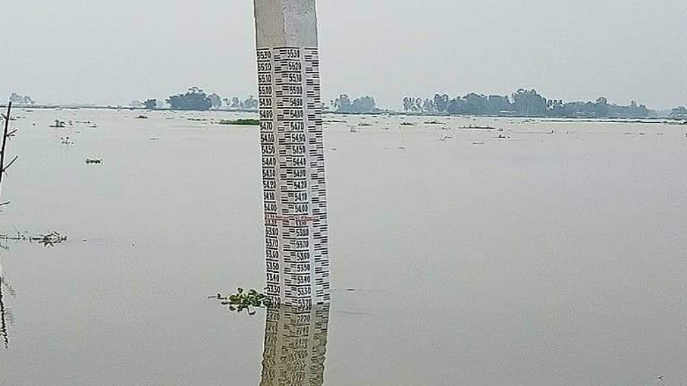  সংগৃহীত