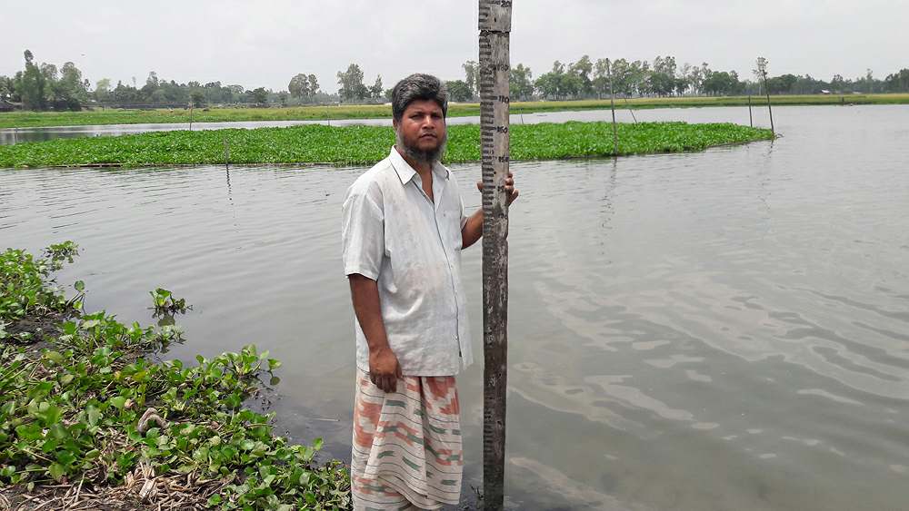 সংগৃহীত