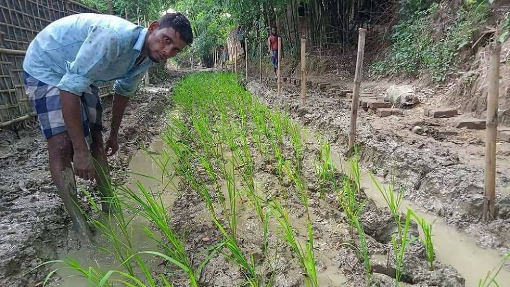 সংগৃহীত