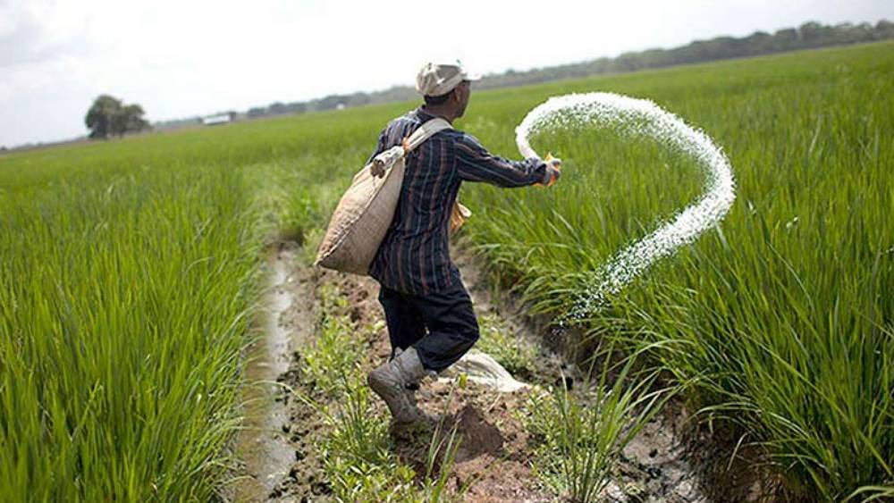 সংগৃহীত