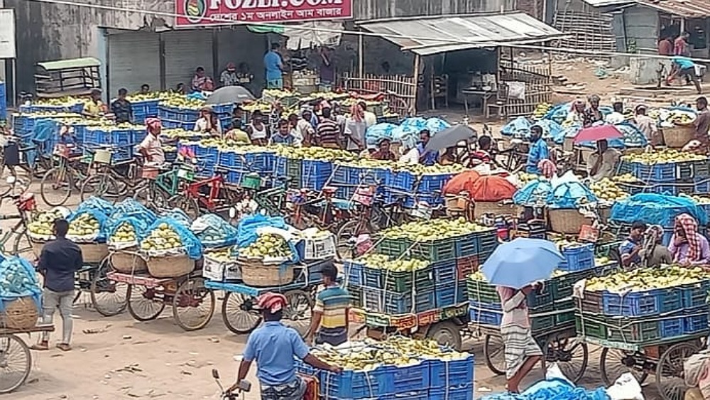 সংগৃহীত