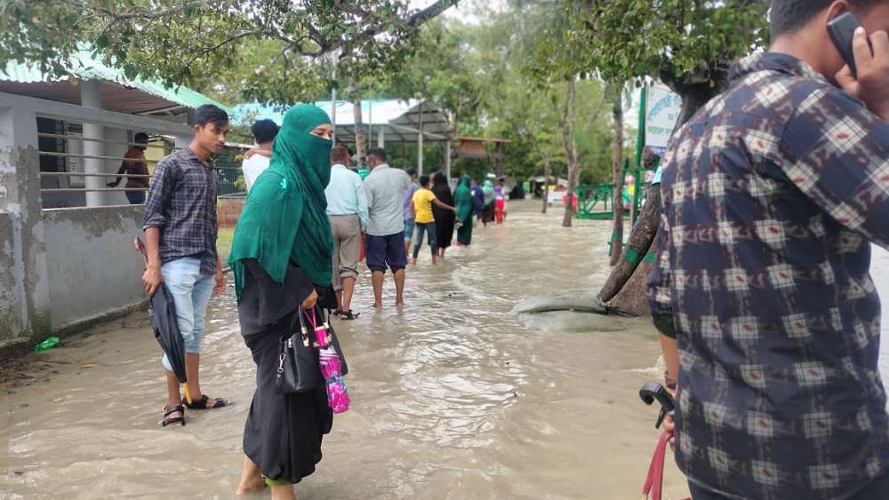 সংগৃহীত