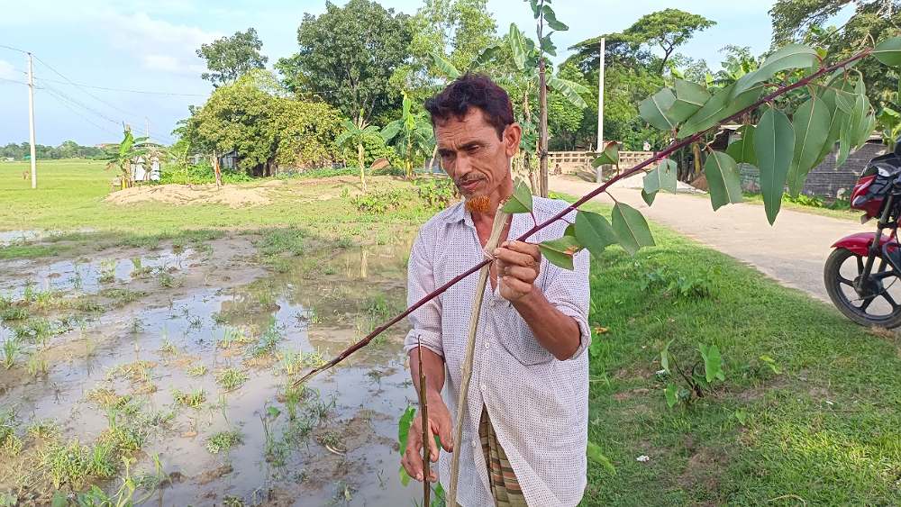 সংগৃহীত