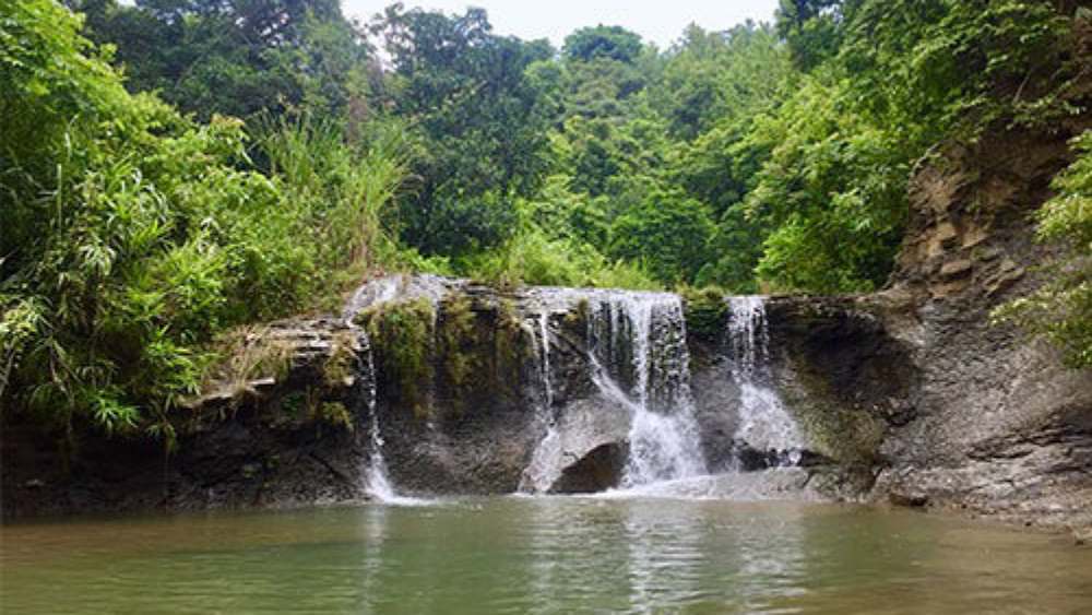 সংগৃহীত