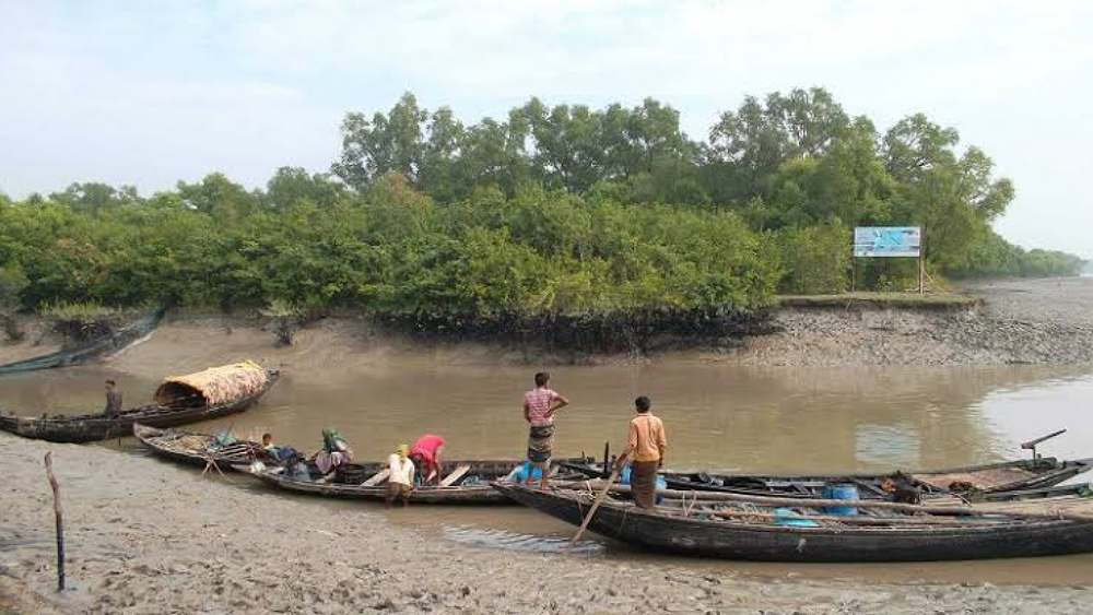 সংগৃহীত