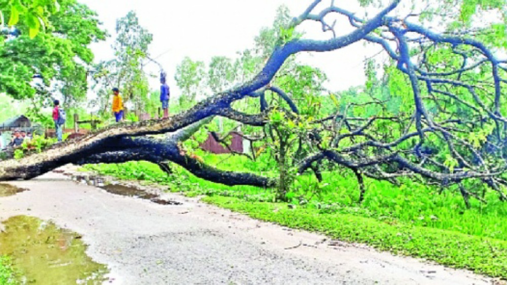 সংগৃহীত