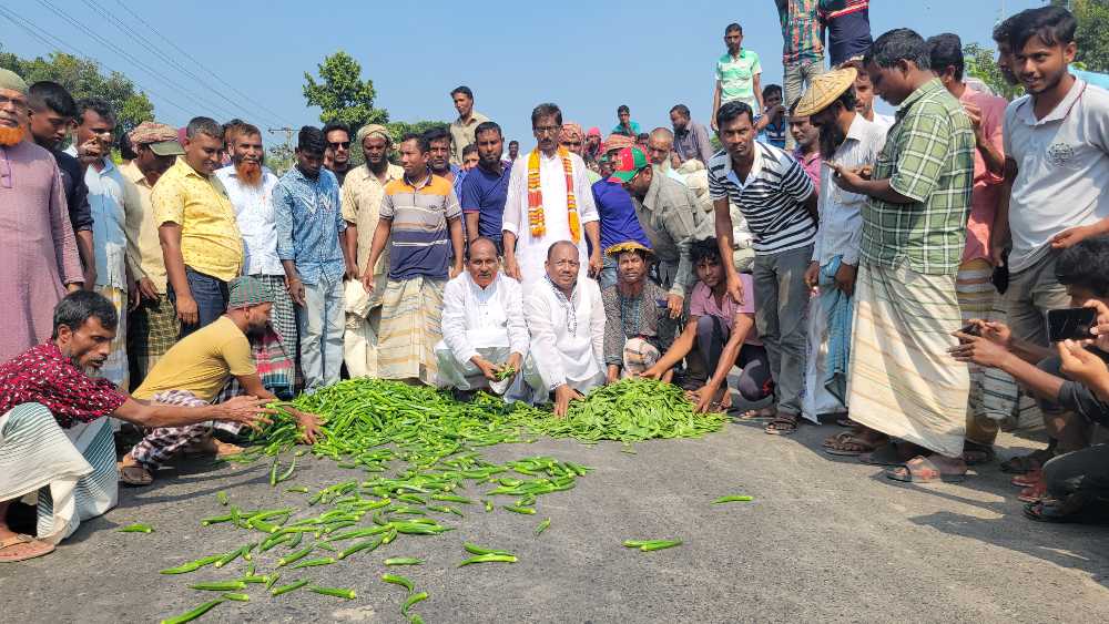 হরতাল-অবরোধবিরোধী কৃষকবন্ধন! মহাসড়কে সবজি ঢেলে প্রতিবাদ