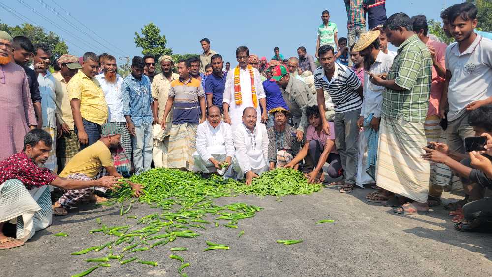 হরতাল-অবরোধবিরোধী কৃষকবন্ধন! মহাসড়কে সবজি ঢেলে প্রতিবাদ 