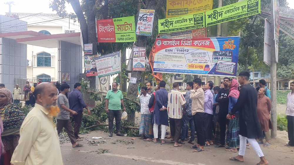 বাসাইলে গাছের ডাল পড়ে ব্যবসায়ীর মৃত্যু