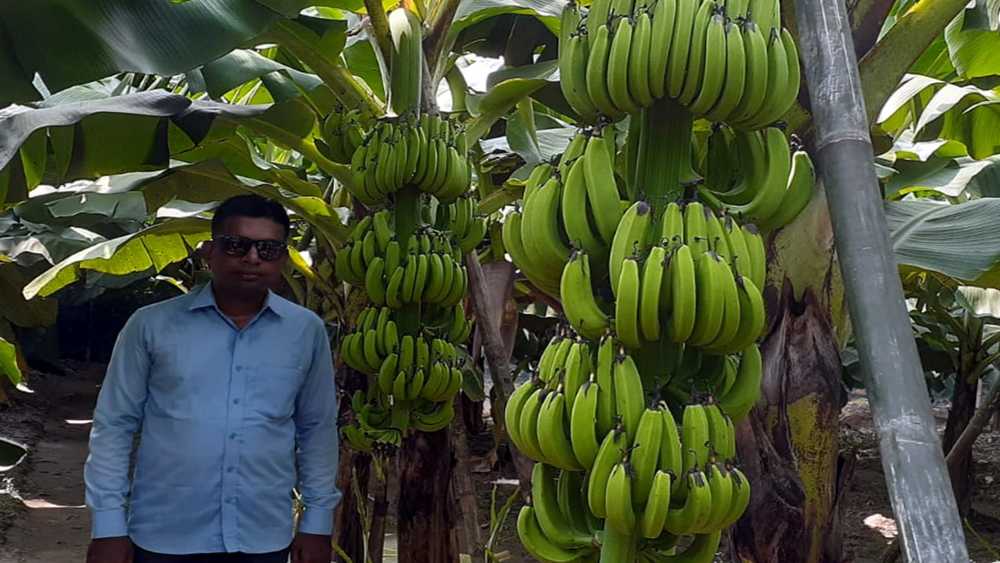 সুফলা নওগাঁ এগ্রো প্রজেক্ট কৃষির জগতে এক ব্যতিক্রমী নাম