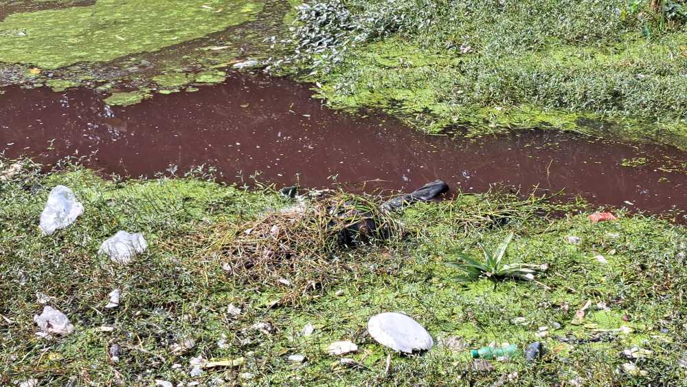 পরিত্যক্ত পুকুর থেকে অজ্ঞাতনামা যুবকের লাশ উদ্ধার 