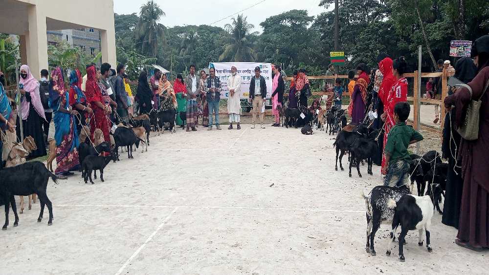 কলাপাড়ায় অসহায়-হতদরিদ্র-নির্যাতিতা নারীদের মাঝে ছাগল বিতরণ