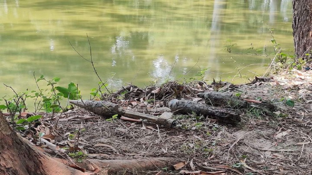 শুক্রবার রাজশাহী বিশ্ববিদ্যালয়ে ১৯৭১ সালের আরও দুটি মর্টার শেল ও একটি রকেট লাঞ্চার উদ্ধার করা হয়েছে।-ছবি: সংগৃহীত 