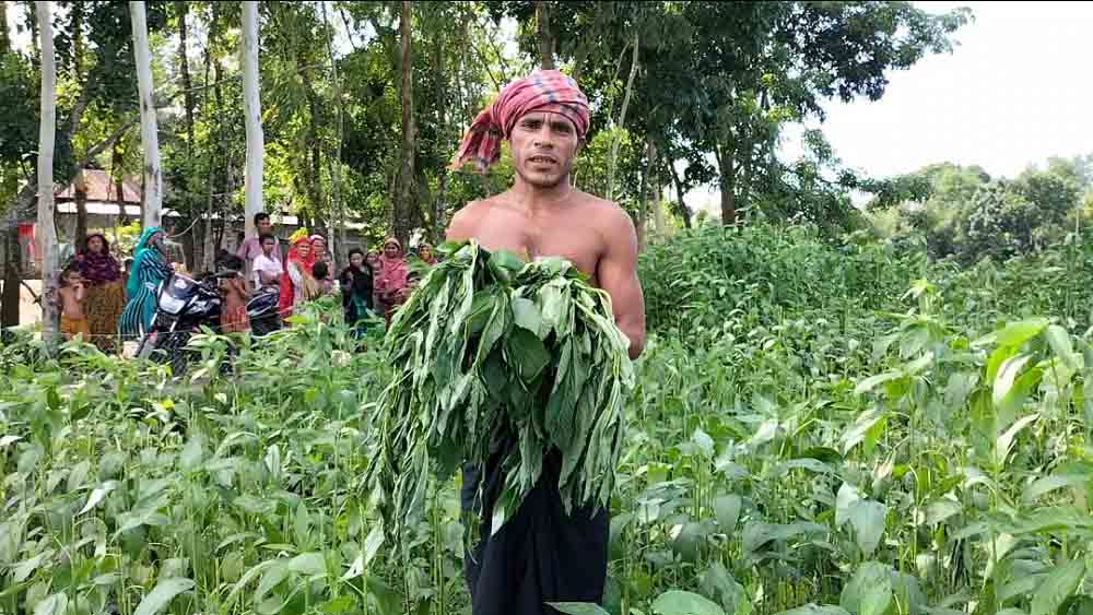 ছবি: সময় ট্রিবিউন 