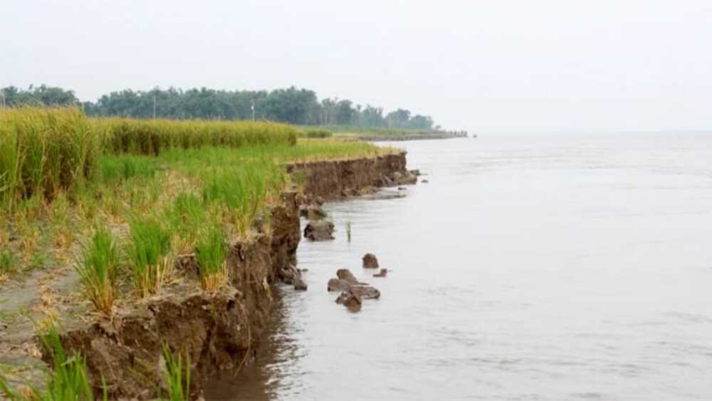 সংগৃহীত