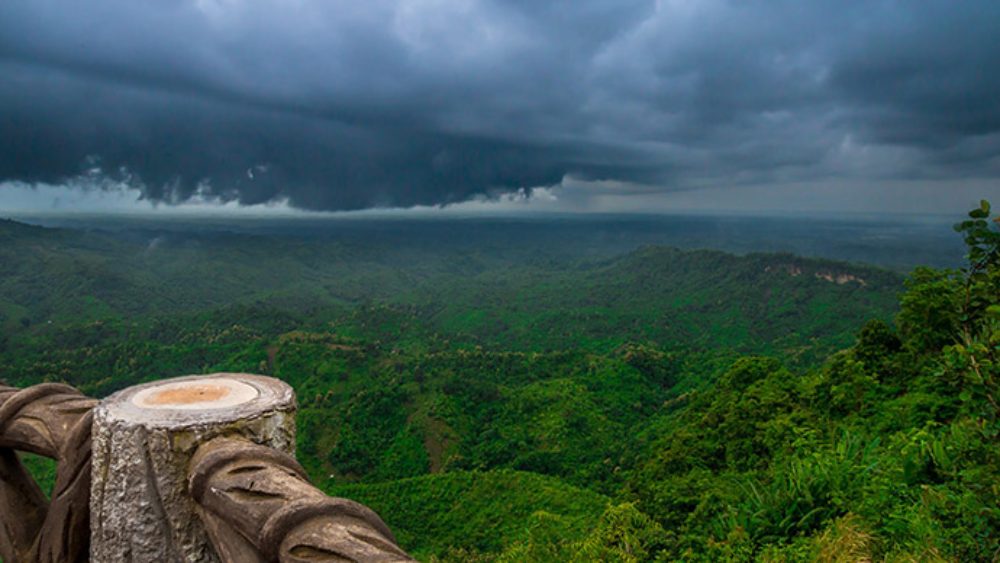 সংগৃহীত 