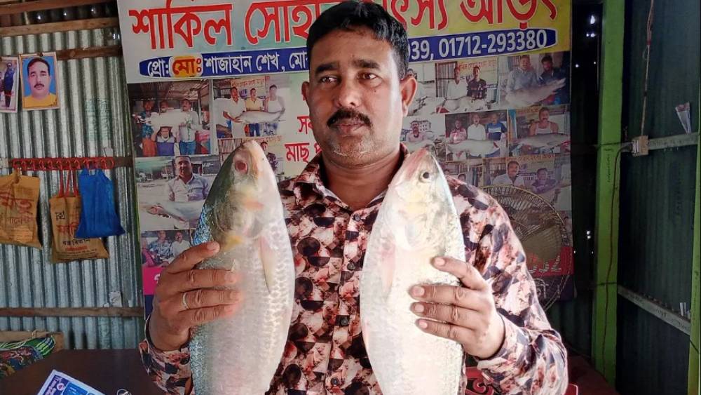 সংগৃহীত