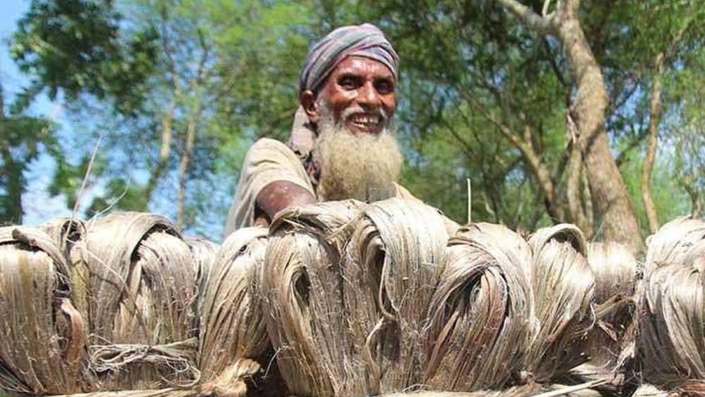 সংগৃহীত 