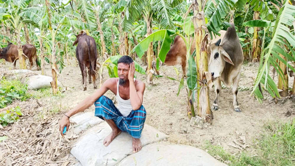 সংগৃহীত ছবি