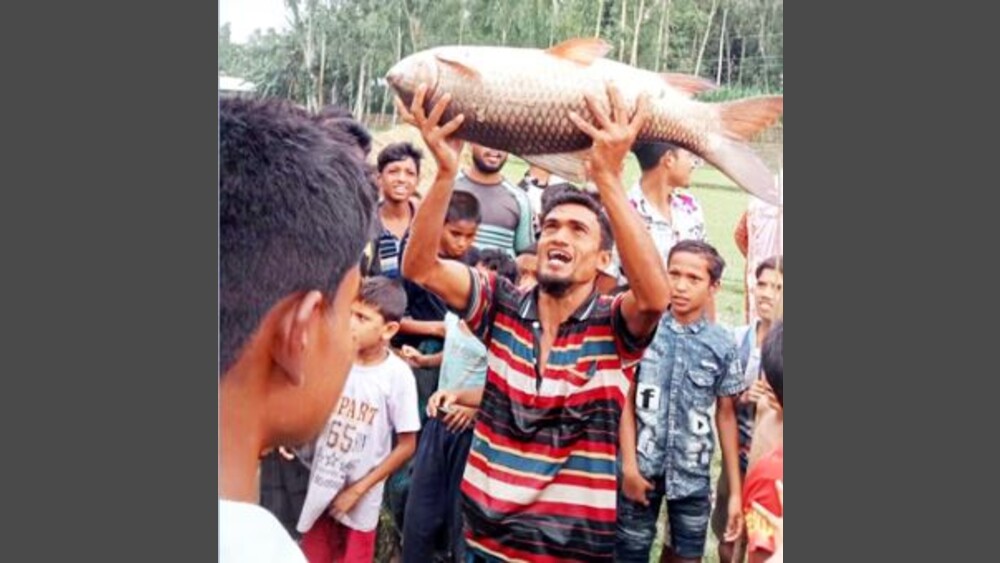 সংগৃহীত ছবি