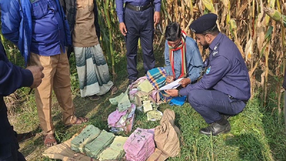 শনিবার গাবসারা ইউনিয়নের পুংলীপাড়া এলাকার একটি ভুট্টা ক্ষেত থেকে বস্তাবন্দী অবস্থায় ব্যালট পেপারগুলো উদ্ধার করা হয়-ছবি সংগৃহীত